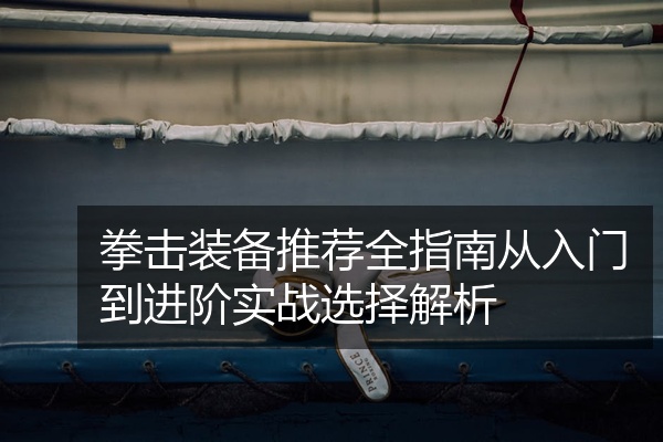 拳击装备推荐全指南从入门到进阶实战选择解析