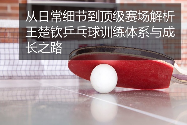 从日常细节到顶级赛场解析王楚钦乒乓球训练体系与成长之路