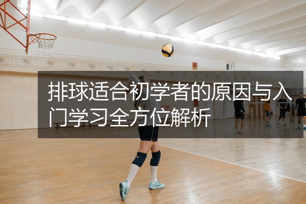 排球适合初学者的原因与入门学习全方位解析
